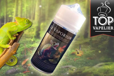 REVUE / TEST : Caméléon Flash par Le Vaporium