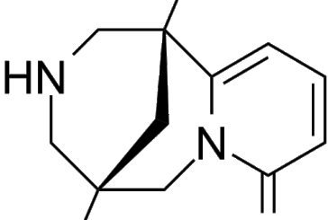 Cytisinicline : Une nouvelle avancée pour les vapoteurs souhaitant se sevrer ?