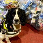 Opération CeCe : des milliers de cigarettes et vapes illicites retirées des rayons à Walsall
