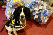 Opération CeCe : des milliers de cigarettes et vapes illicites retirées des rayons à Walsall