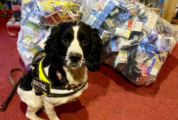 Opération CeCe : des milliers de cigarettes et vapes illicites retirées des rayons à Walsall