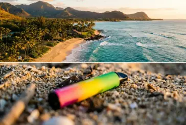Hawaii : le gouverneur Green signe une série de lois qui interdisent les vapes jetables et durcissent la réglementation