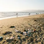 Californie : l&rsquo;interdiction des puffs jetables votée, un signal fort pour toute l&rsquo;industrie