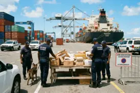 Caraïbes : le Guyana devient le premier pays de la région à bloquer les importations de vapes