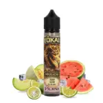 PARLONS E-JUICE : Mizuchi (Solana)