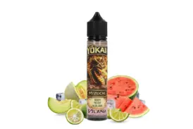 PARLONS E-JUICE : Mizuchi (Solana)